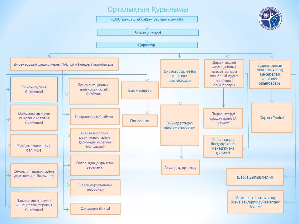 Орталық құрылысы